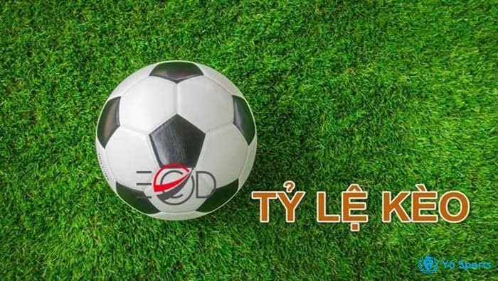 Tyleke - Tỷ lệ cá cược bóng đá chi tiết tại 868h 2022