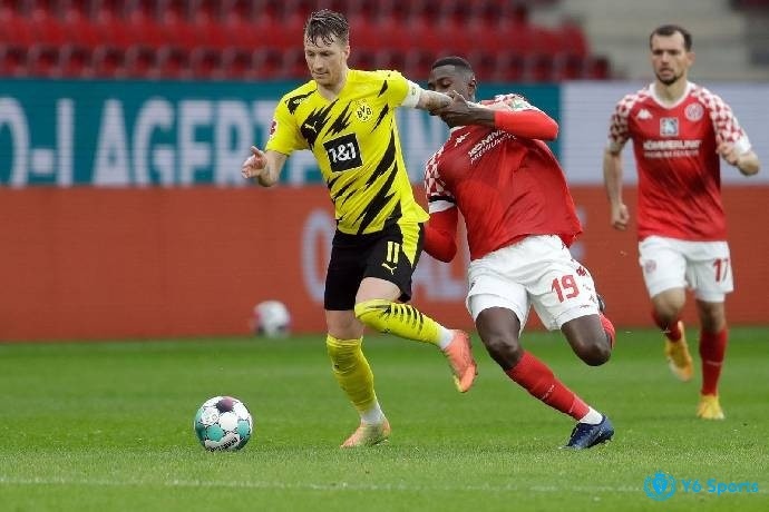 Mainz đấu với dortmund - Dự đoán bóng đá Bundesliga 2022