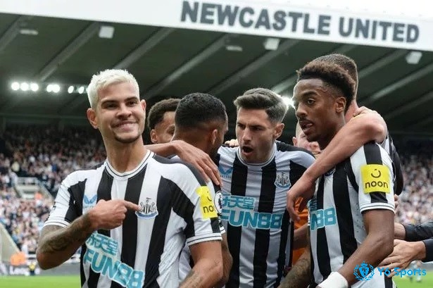 Newcastle là một thế lực đang lên tại Ngoại hạng Anh