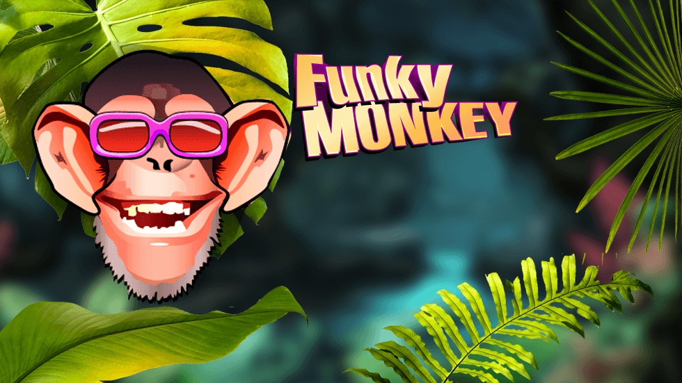 Funky Monkey slot: Review slot game về thế giới của Monkey