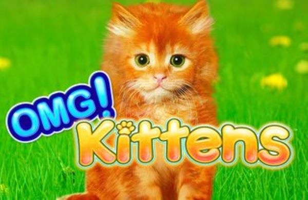 Omg Kittens - slot game với phần thưởng khủng tại 868H