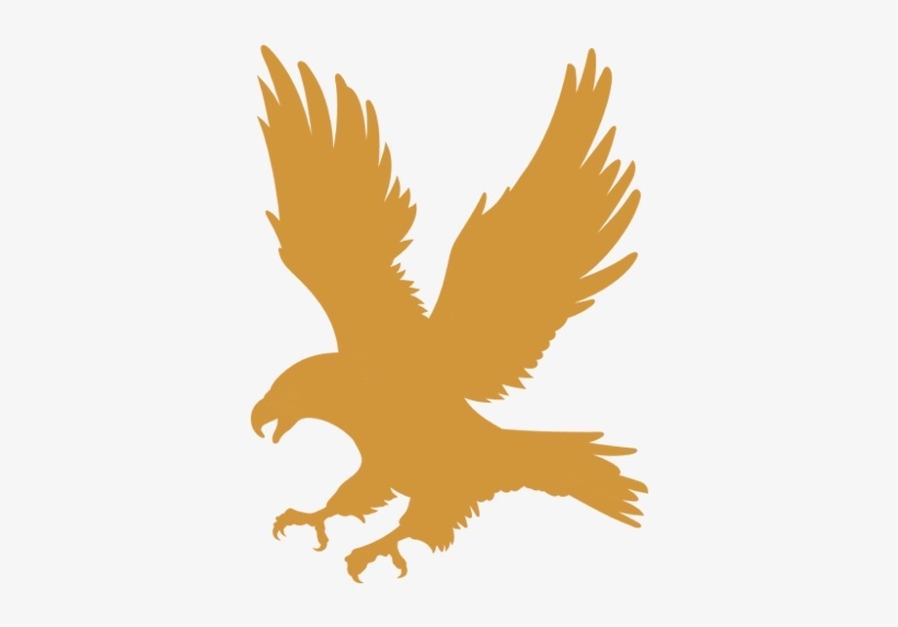 Eagle king logo: Khám phá ý nghĩa của logo đại bàng