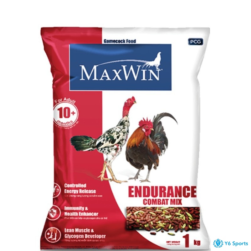 Thức ăn gà đá Maxwin đến từ Thái Lan có giá bán 40-50k/kg