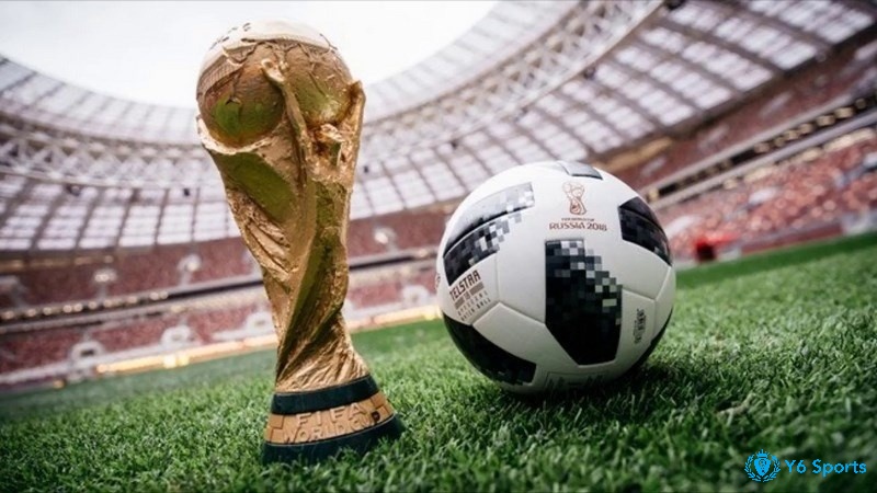 World Cup là giải bóng đá lớn tổ chức 4 năm 1 lần bởi FIFA