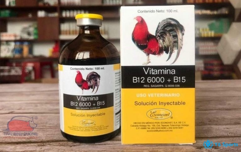 Vitamin tổng hợp giúp tăng cường sức đề kháng cho gà chọi